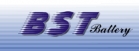 BST International Co., Ltd. Logo