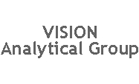 Vision Analytical Group Logo