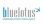 Blue Lotus Communications Consultancy