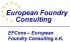 EFCons - European Foundry Consulting e.K.