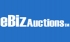 Ebiz Auctions