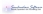 Sandinshoes Software