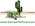 Cactus Tactical