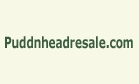 Puddnheadresale.com Logo