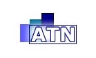 ATNconsulting.com Logo