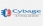 Cybage Software