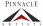 Pinnacle Artists