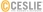 CESLIE-The Women's Network
