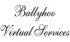 Ballyhoo Virtual Services