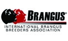 International Brangus Breeders Association Logo