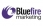 Blue Fire Group