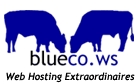 BlueCo Web Site Hosting Logo