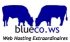 BlueCo Web Site Hosting