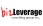 bizLeverage Consulting Group Inc.