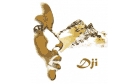 Dji Dieng Management Logo