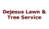 Dejesus Lawn & Tree Service