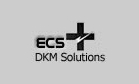 DKM Solutions,Inc Logo