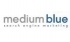 Medium Blue Search Engine Marketing