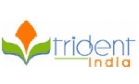 Trident India Sytems Logo