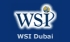 WSI Dubai Internet Consulting and Education