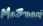Mozoom, Inc.