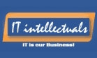IT Intellectuals Logo