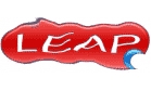Leap Search Logo