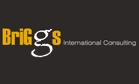 Briggs International Consulting Logo