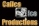 Calico Ice Productions