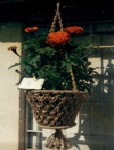Flower pot holder Image