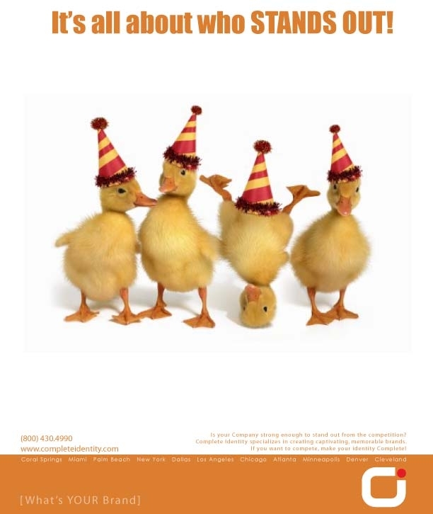 CI Chicken Ad Image