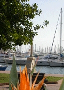 Port of Alicante Image