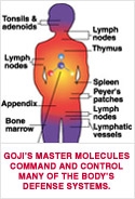 Master Molecules Chart... Image