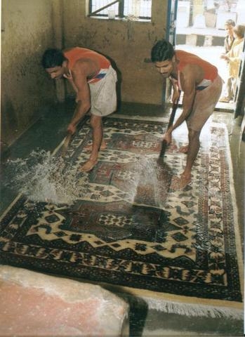 when wash carpet Image