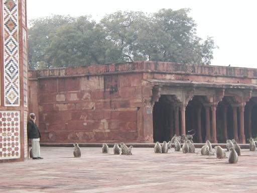 Red fort 1 Image