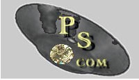Paning Silver Logo Image