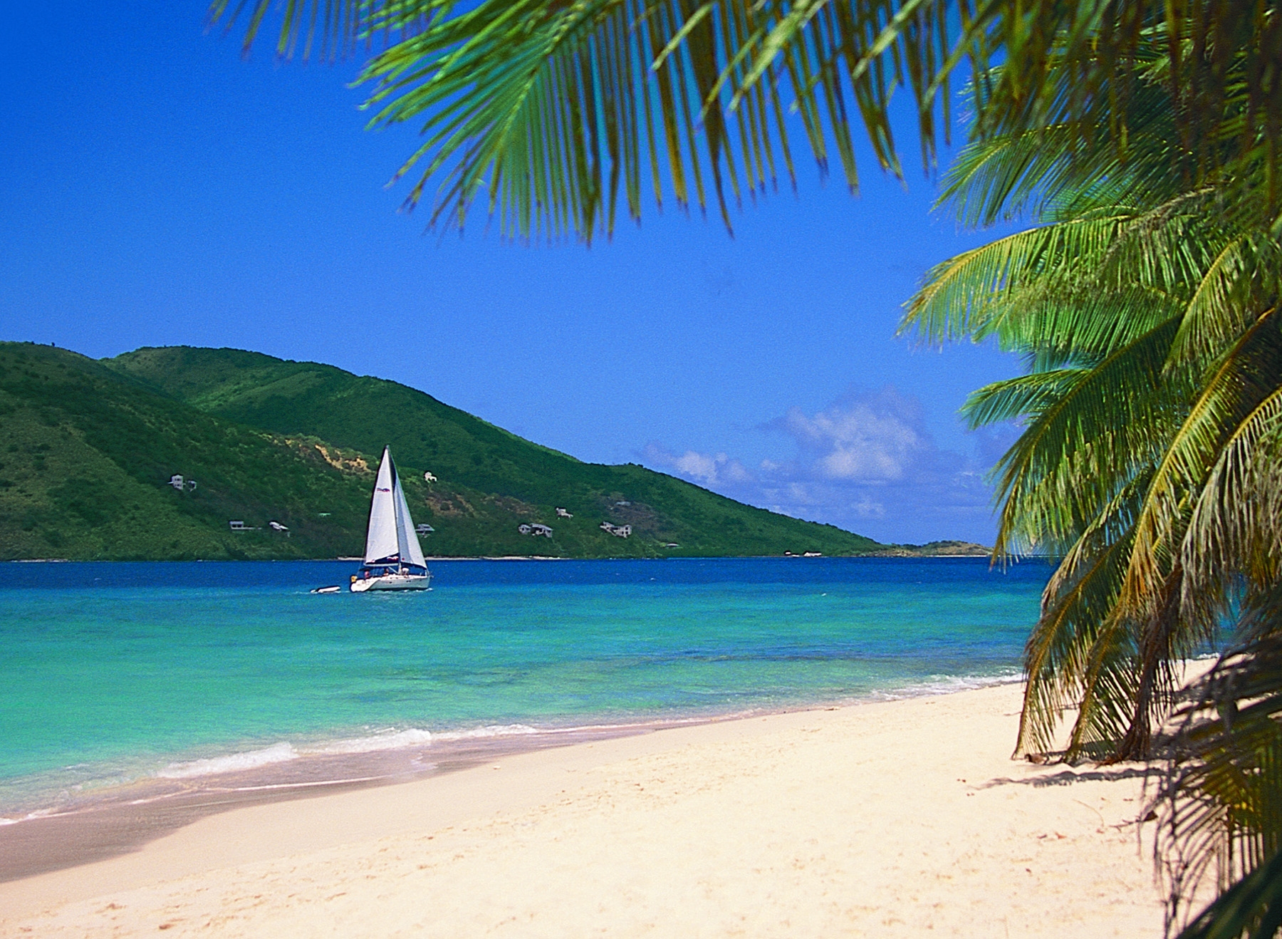 Learn to cruise in the British Virgin Islands Image