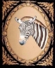 embroidry work zebra Image