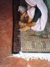 how make adged of the carpet Image