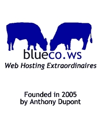 BlueCo Web Site Hosting