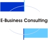 E-Business Consulting