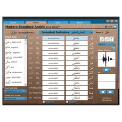 New Software Helps Arabic Learners