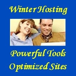 Maximize Your Business Earnings with Winter Hosting's Powerful Packages
