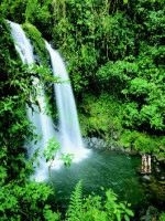 Costa Rican Blast: Quickly Create Your Own Vacation in Costa Rica, and Have the Most Fun in Your Life