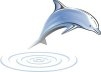 DolphinSearch Releases Workflow Management Tools For eDiscovery