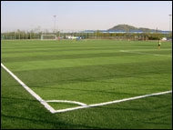 Artificial Turf Proven to Perform like Natural Grass