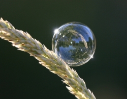 PhotographyCorner.com Announces Winston Rockwell as Winner for 2006 Photograph of the Year Contest