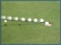 The Eyestring System For Better Putting