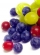 Vitaliberry™ Immune Support