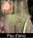 Pau darco herb